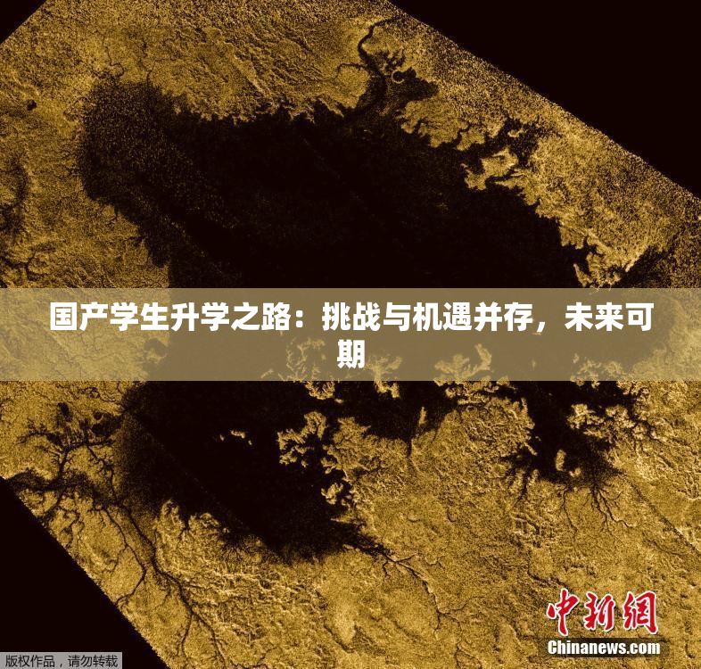 国产学生升学之路：挑战与机遇并存，未来可期