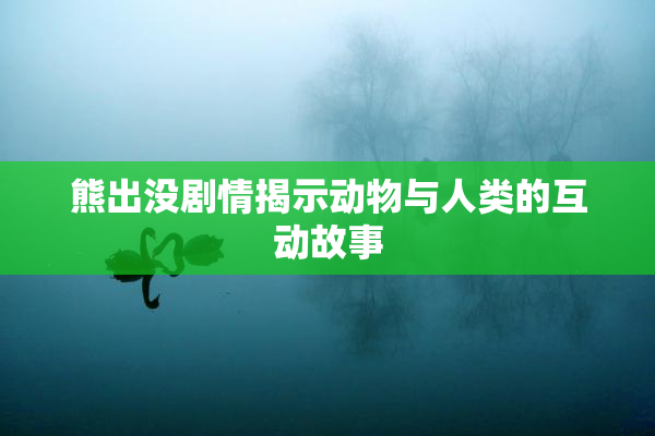 熊出没剧情揭示动物与人类的互动故事
