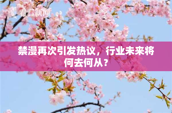 禁漫再次引发热议，行业未来将何去何从？