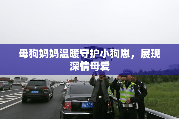母狗妈妈温暖守护小狗崽，展现深情母爱