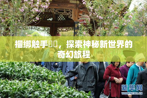 捆绑触手❌‌，探索神秘新世界的奇幻旅程