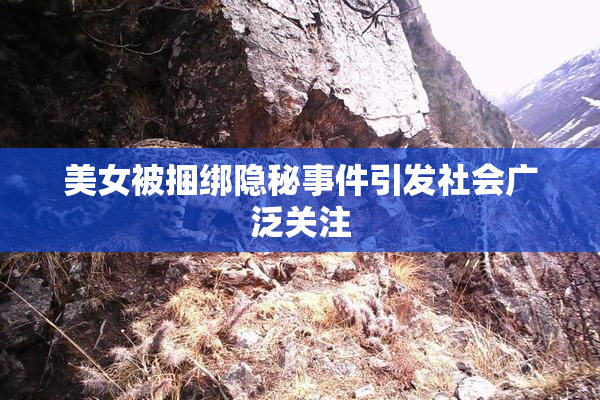 美女被捆绑隐秘事件引发社会广泛关注