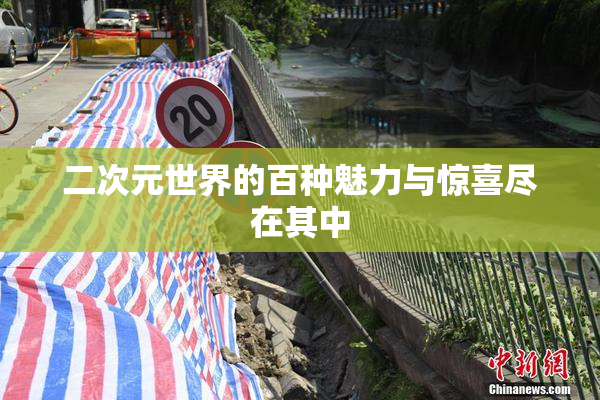 二次元世界的百种魅力与惊喜尽在其中