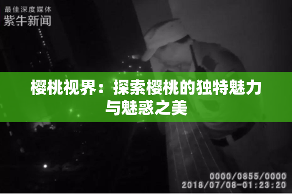 樱桃视界：探索樱桃的独特魅力与魅惑之美