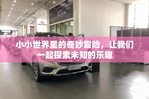 小小世界里的奇妙冒险，让我们一起探索未知的乐趣