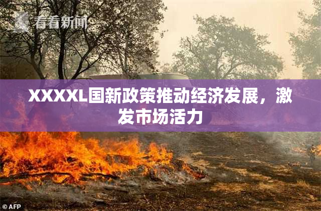 XXXXL国新政策推动经济发展，激发市场活力
