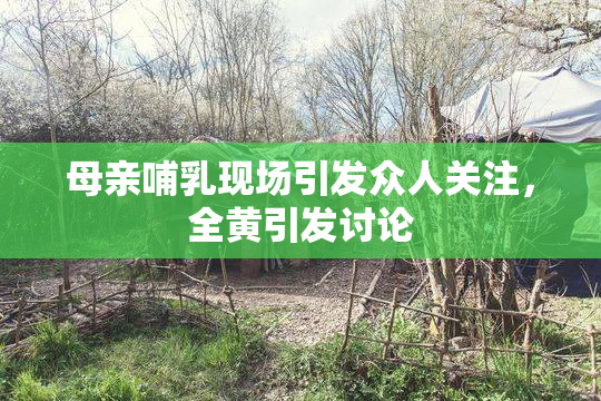 母亲哺乳现场引发众人关注，全黄引发讨论