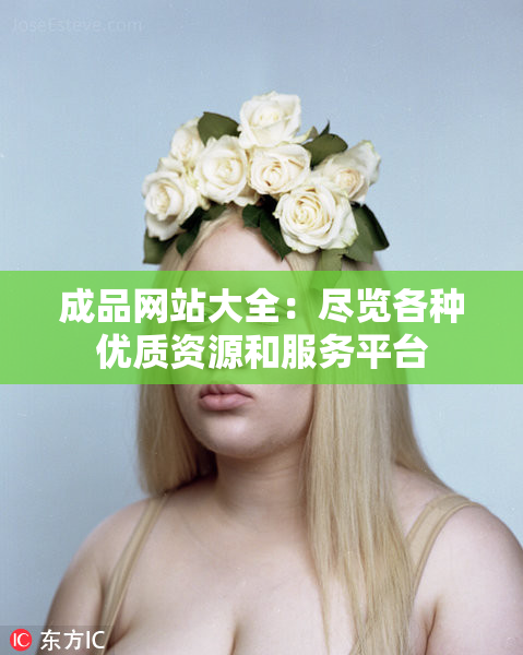 成品网站大全：尽览各种优质资源和服务平台