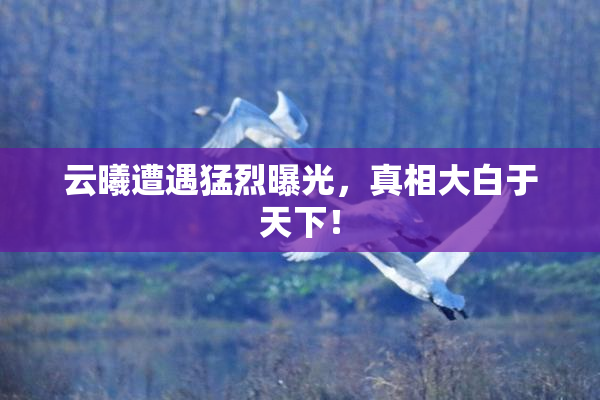 云曦遭遇猛烈曝光，真相大白于天下！