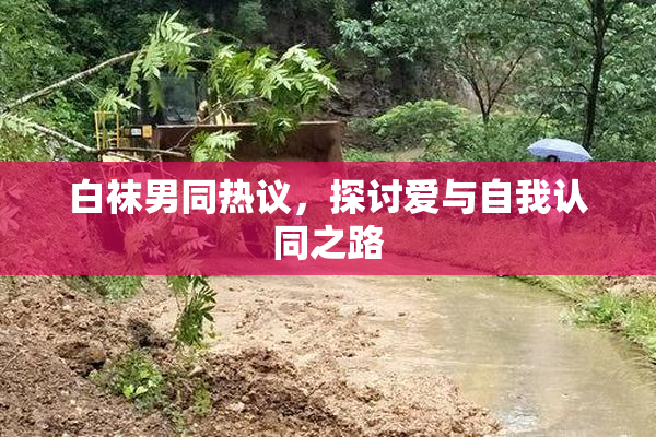 白袜男同热议，探讨爱与自我认同之路