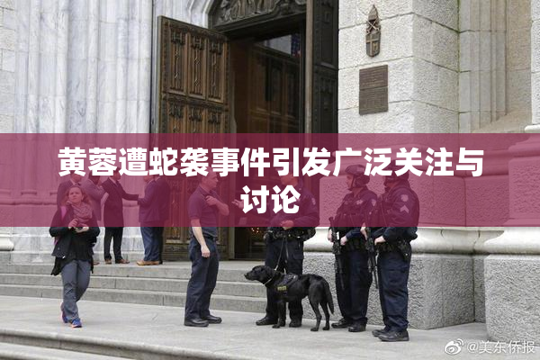黄蓉遭蛇袭事件引发广泛关注与讨论