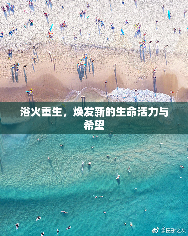 浴火重生，焕发新的生命活力与希望