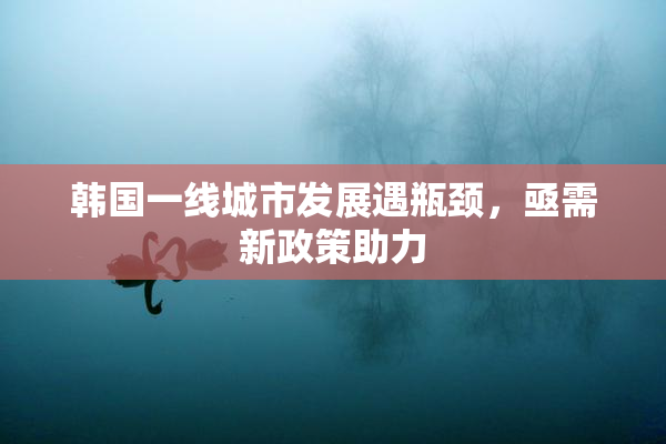 韩国一线城市发展遇瓶颈，亟需新政策助力