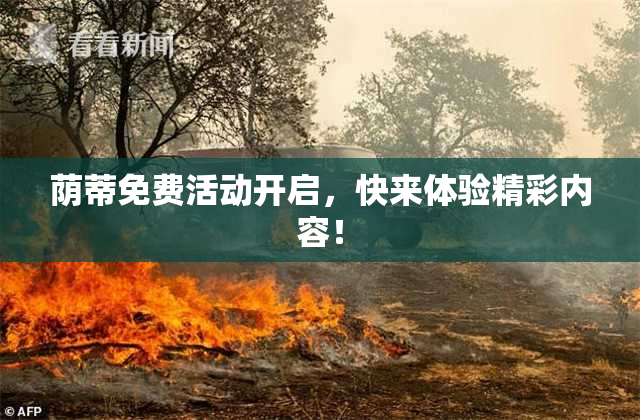 荫蒂免费活动开启，快来体验精彩内容！