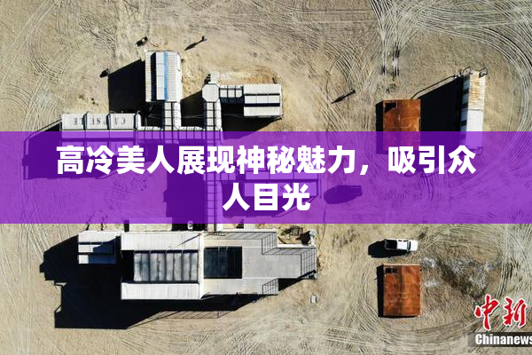 高冷美人展现神秘魅力，吸引众人目光