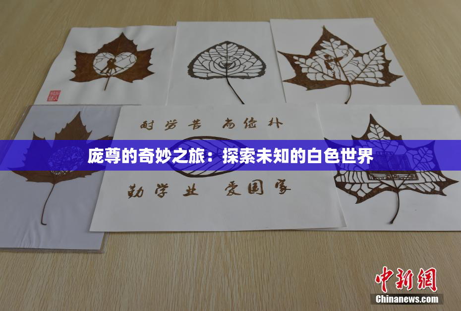 庞尊的奇妙之旅：探索未知的白色世界