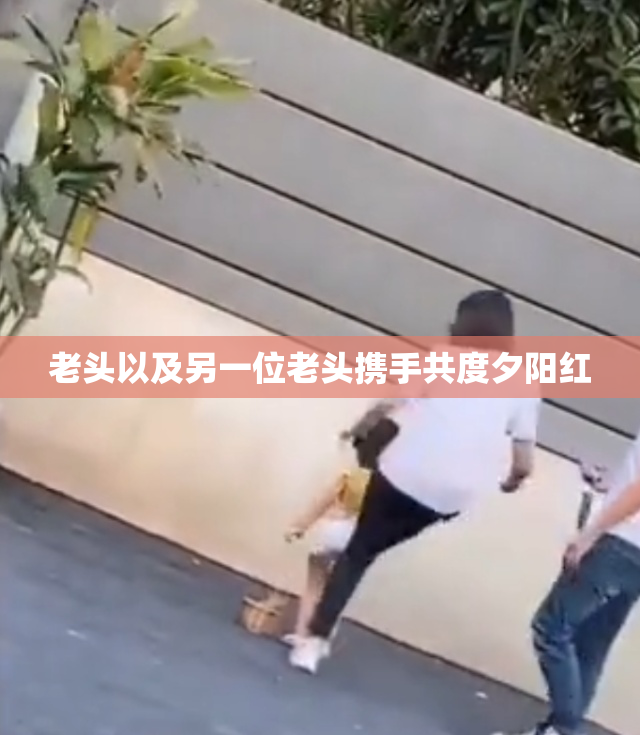 老头以及另一位老头携手共度夕阳红