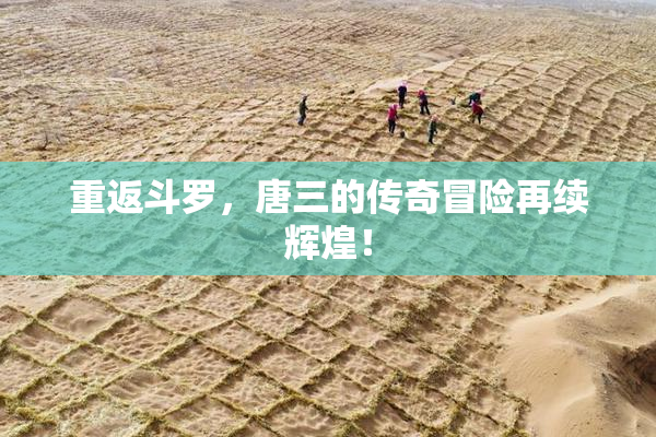 重返斗罗，唐三的传奇冒险再续辉煌！