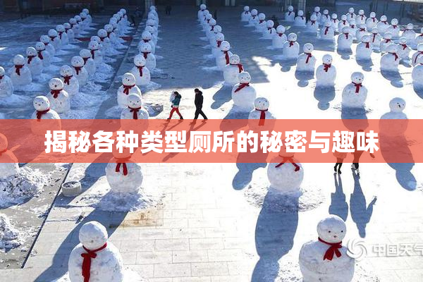 揭秘各种类型厕所的秘密与趣味
