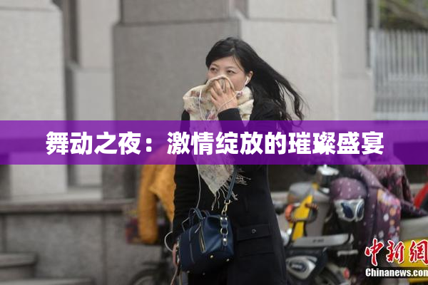 舞动之夜：激情绽放的璀璨盛宴