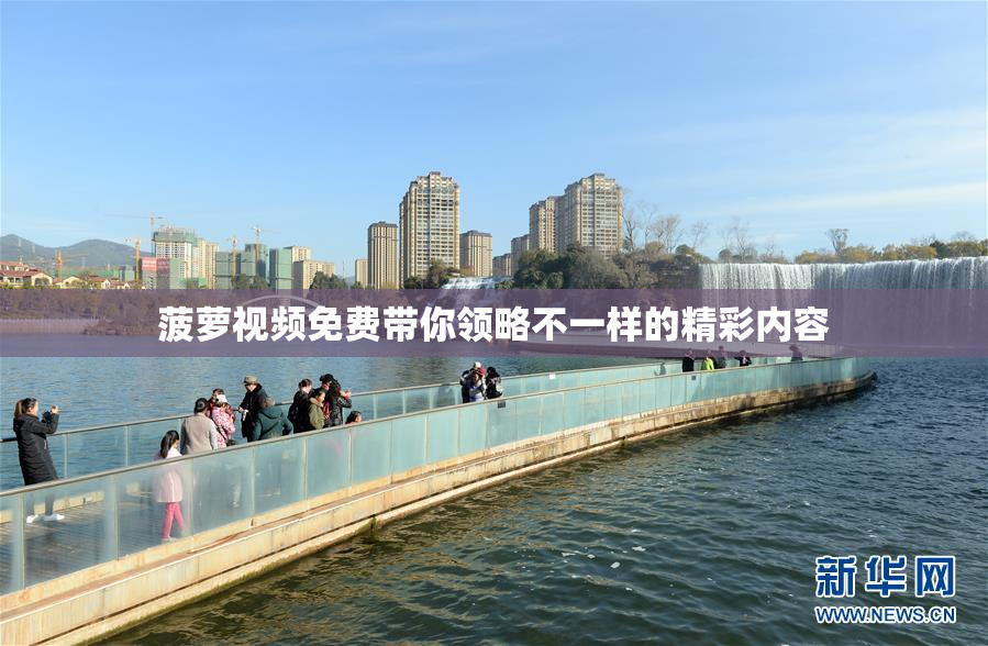 菠萝视频免费带你领略不一样的精彩内容
