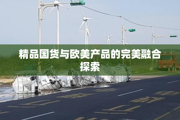 精品国货与欧美产品的完美融合探索