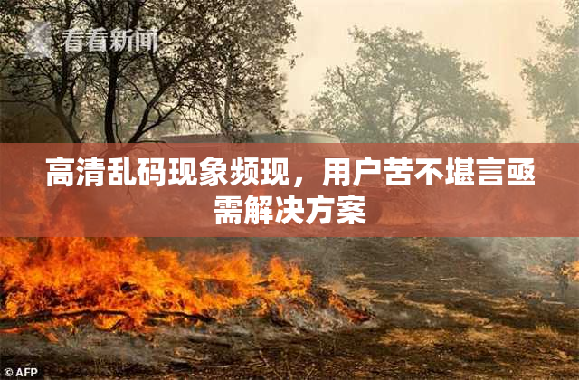 高清乱码现象频现，用户苦不堪言亟需解决方案