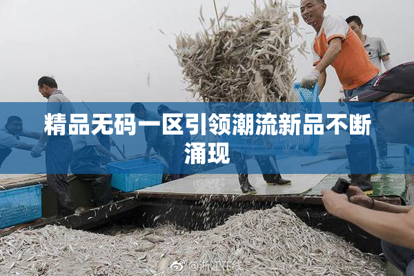 精品无码一区引领潮流新品不断涌现