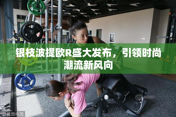银枝波提欧R盛大发布，引领时尚潮流新风向
