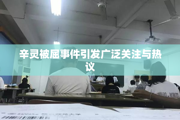 辛灵被屈事件引发广泛关注与热议