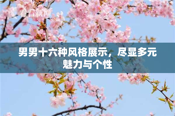 男男十六种风格展示，尽显多元魅力与个性