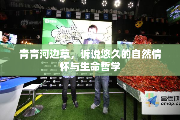 青青河边草，诉说悠久的自然情怀与生命哲学