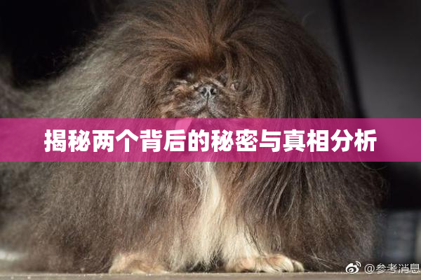 揭秘两个背后的秘密与真相分析
