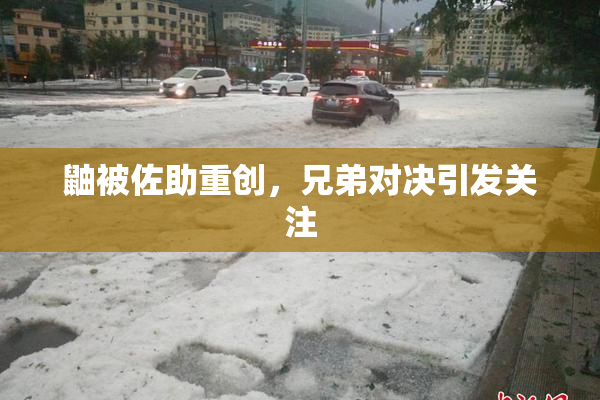鼬被佐助重创，兄弟对决引发关注