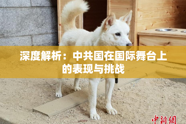 深度解析：中共国在国际舞台上的表现与挑战