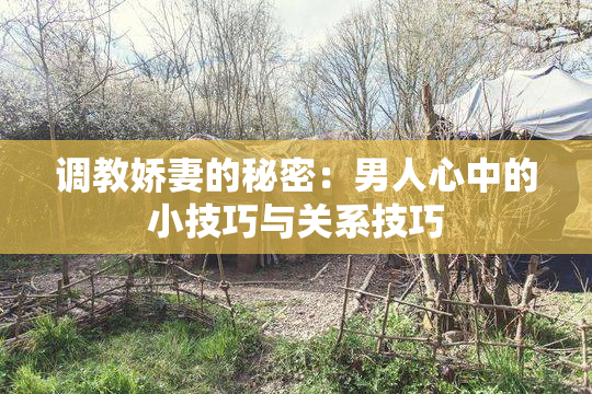 调教娇妻的秘密：男人心中的小技巧与关系技巧