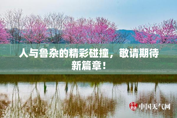 人与鲁杂的精彩碰撞，敬请期待新篇章！