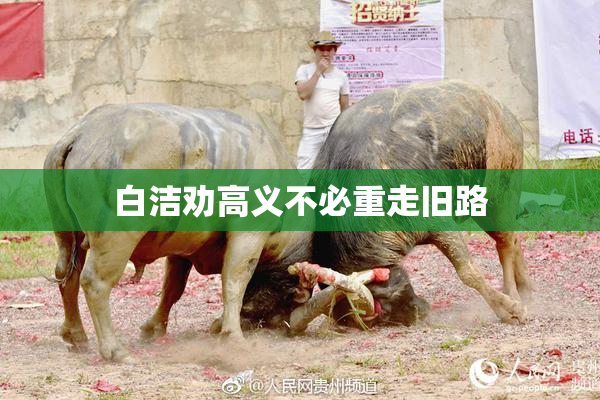 白洁劝高义不必重走旧路