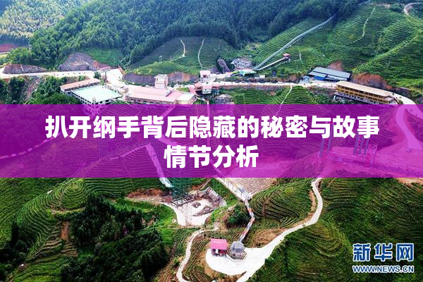 扒开纲手背后隐藏的秘密与故事情节分析