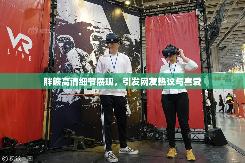 胖熊高清细节展现，引发网友热议与喜爱