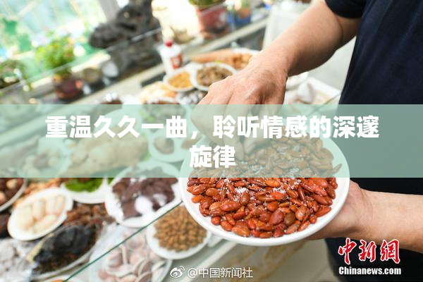 重温久久一曲，聆听情感的深邃旋律