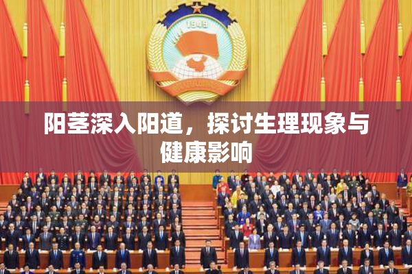 阳茎深入阳道，探讨生理现象与健康影响