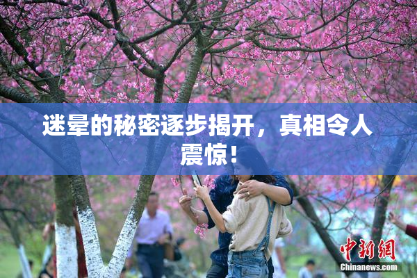 迷晕的秘密逐步揭开，真相令人震惊！