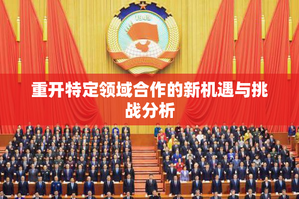 重开特定领域合作的新机遇与挑战分析
