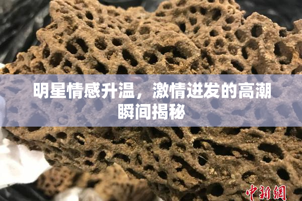 明星情感升温，激情迸发的高潮瞬间揭秘