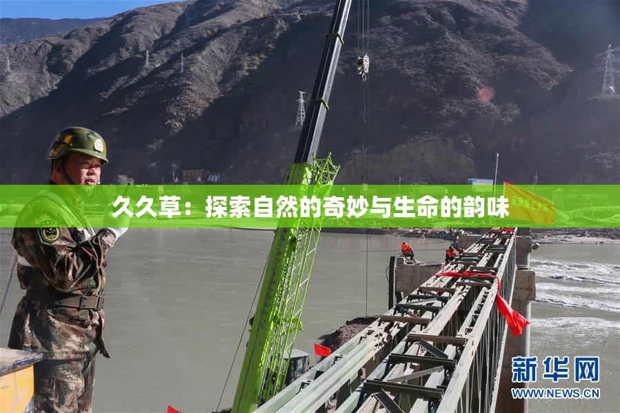 久久草：探索自然的奇妙与生命的韵味