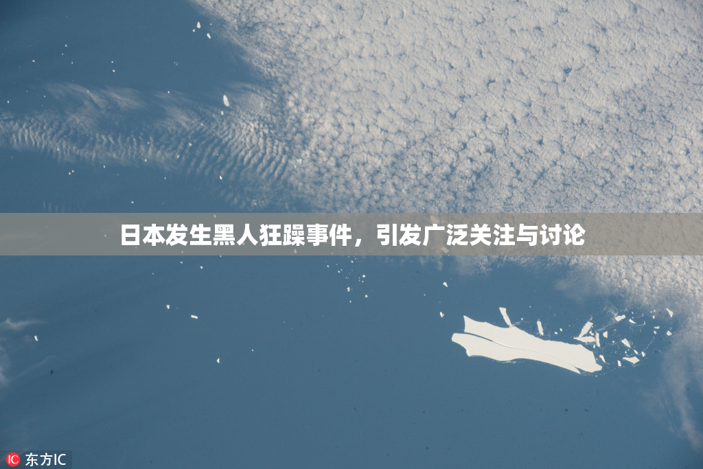 日本发生黑人狂躁事件，引发广泛关注与讨论
