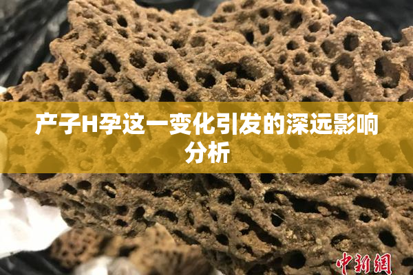 产子H孕这一变化引发的深远影响分析