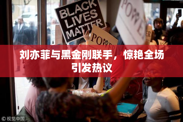 刘亦菲与黑金刚联手，惊艳全场引发热议