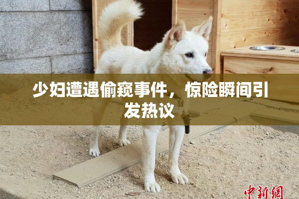 少妇遭遇偷窥事件，惊险瞬间引发热议